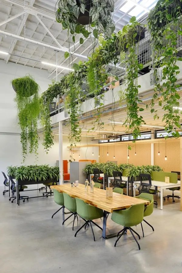 Biophilic Design in Interior Spaces: Reconnecting with Nature through Interior Architecture